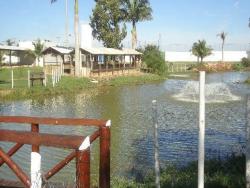 Área para Venda em Campos dos Goytacazes - 5