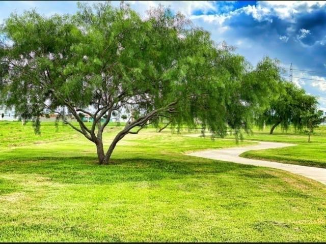 Área para Venda em Campos dos Goytacazes - 5
