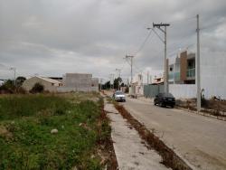 Área para Venda em Campos dos Goytacazes - 4